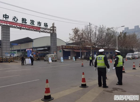 摩尔庄园手游工具栏与菜篮子工具栏位置全解析