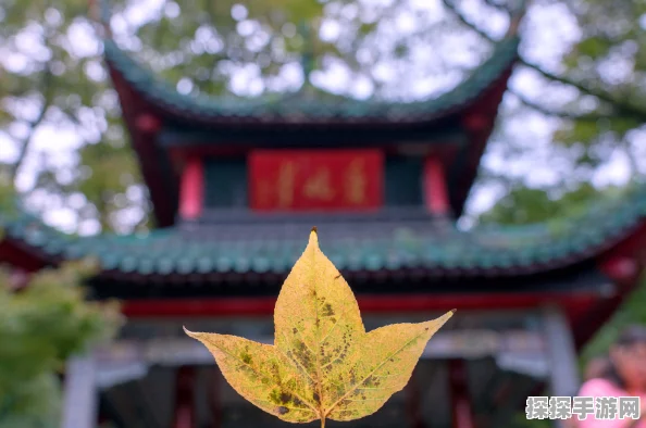 手游资讯，无限暖暖错位摄影三瓶花任务全攻略