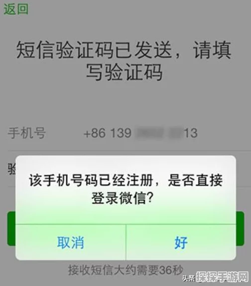 手机号码无法注册微信？手游玩家如何应对并获取最新资讯