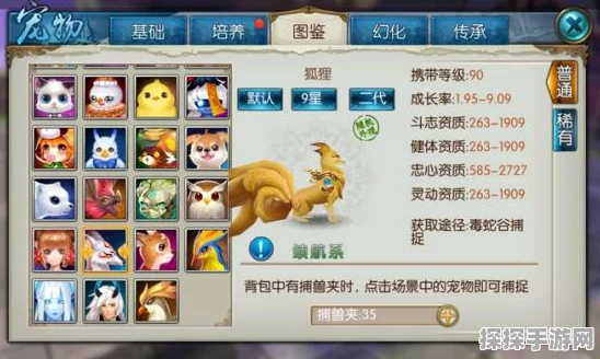 梦幻新诛仙七彩兽培养全攻略，打造你的专属灵兽