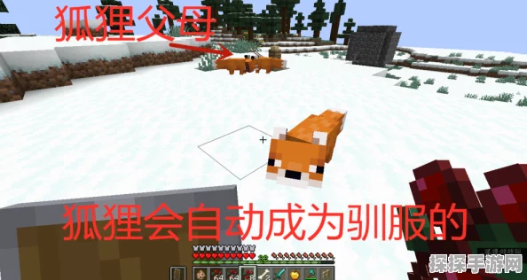 我的世界狐狸驯服与养殖全攻略