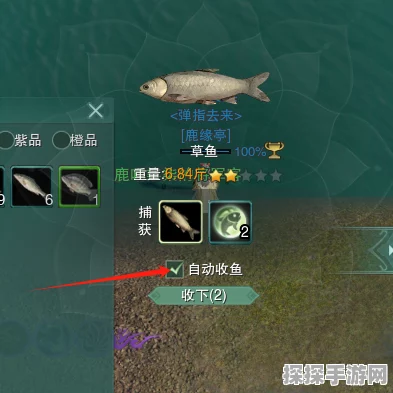 剑网3口袋版钓鱼活动大揭秘，珍稀奖励等你拿