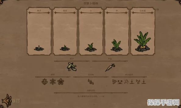饥荒手游全植物图鉴详解攻略
