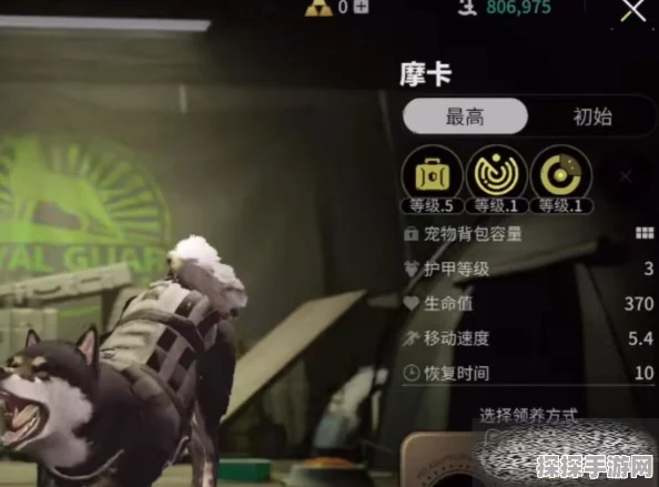 萤火突击摩卡宠物升级全攻略，解锁升级材料与获取秘籍