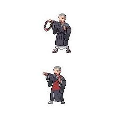 手游资讯，揭秘精灵宝可梦GO中伊布进化方向的决定因素