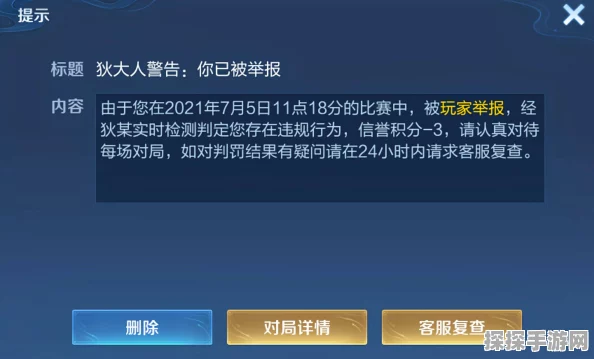 王者荣耀非法行为限制添加好友应对策略与最新资讯