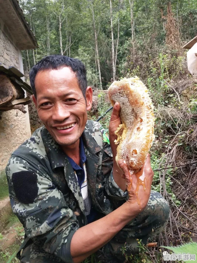 怪物猎人世界，从菜鸟到猎人的蜕变之路全面解析