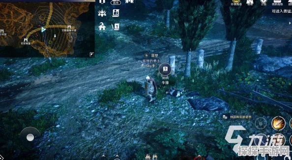黑色沙漠手游深度探索，桥梁知识位置的揭秘与被动摇的桥梁全解析