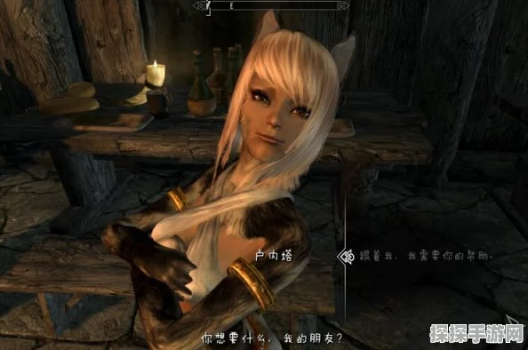 上古卷轴5美女随从MOD深度解析与使用指南