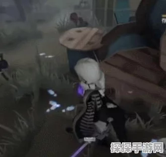 第五人格摄影师玩法深度揭秘，资源管理技巧与制胜策略