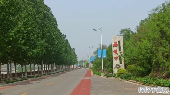 心动小镇新手指南，轻松解锁鼓掌动作，增添无限游戏乐趣
