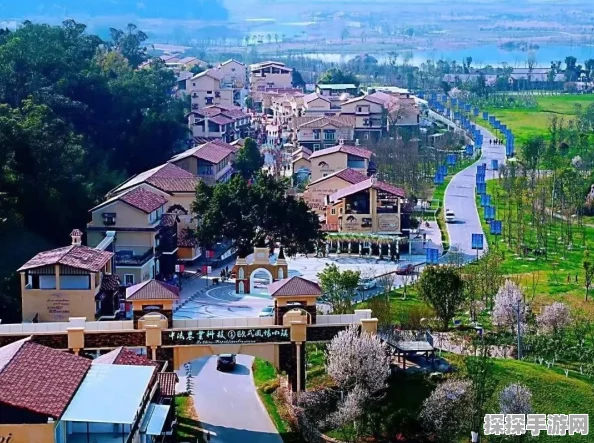 心动小镇彩虹天，探寻彩虹花束的奇妙之旅