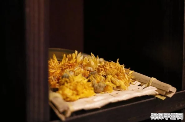黑暗之魂2手游资讯，高效刷取不信仰香料攻略