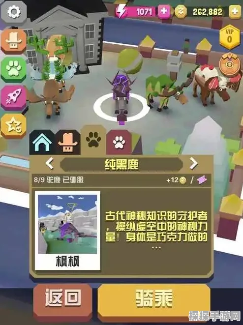 手游资讯，疯狂动物园澳洲隐藏动物揭秘