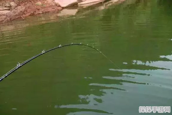 疯狂骑士团，揭秘调皮掠食者的垂钓秘籍