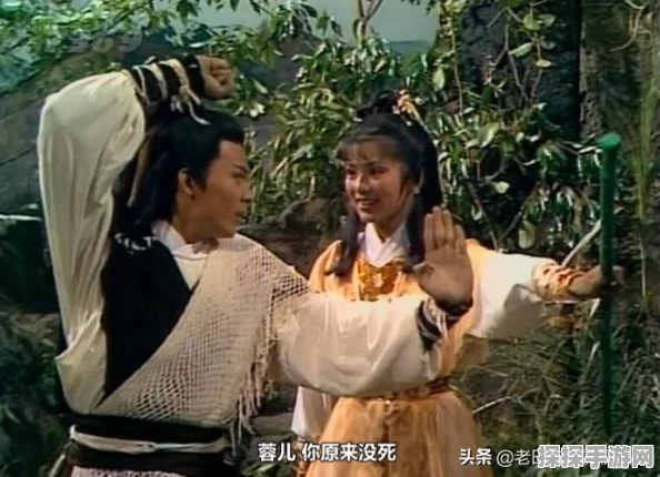 剑侠情缘手游华山论剑，峨眉门派高效同伴搭配策略深度解析
