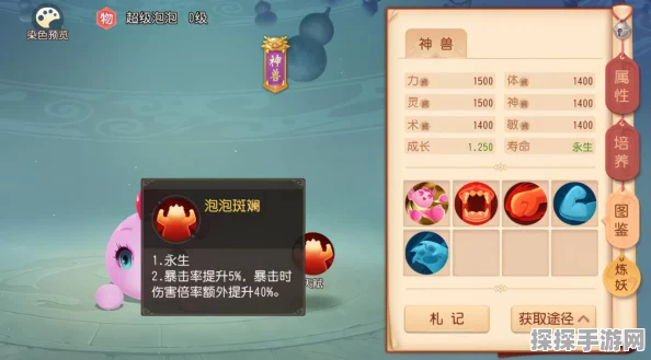 梦幻西游三维版洗练系统深度解析，提升变异宠物几率的策略指南