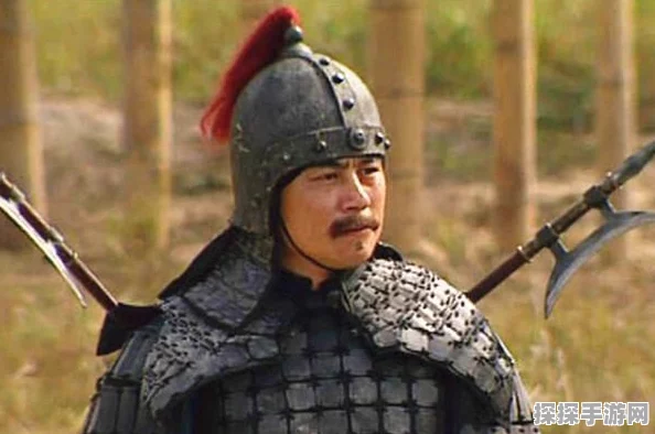 三国志龙争虎斗武将新玩法深度解析，策略与激情的碰撞