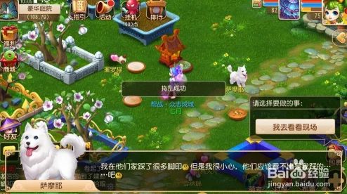 梦幻西游手游毛小球萌宠全揭秘及高效获取策略深度解析