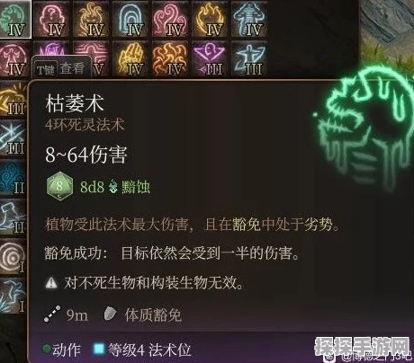 博德之门3战法牧帕搭配攻略，打造无敌战斗阵容