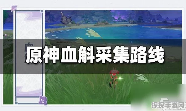 原神血斛刷新采集点全攻略，助你轻松收集稀有材料