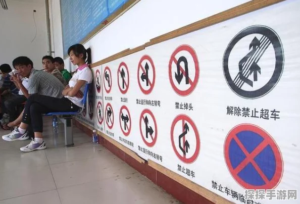 手游资讯，模拟人生3秘籍无法使用问题全解析