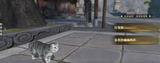 天刀手游心剑猫咪彩蛋触发攻略，解锁资深猫奴称号