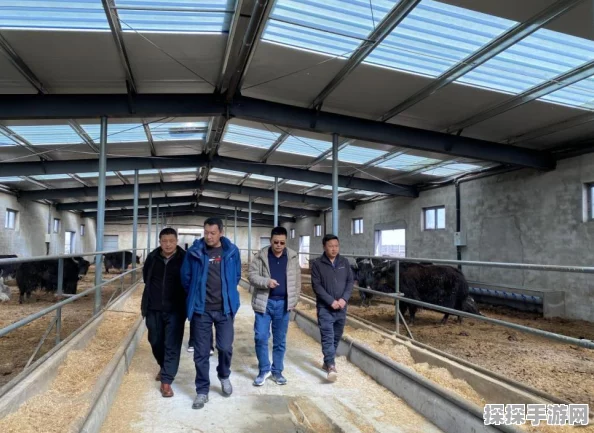 手游资讯，创造与魔法雪原狼饲料喂养指南全面解析