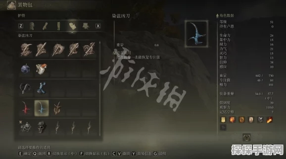 手游资讯，艾尔登法环法师后期神装获取全攻略深度解析
