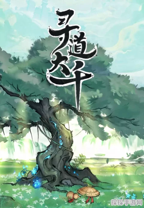 寻道大千账号切换指南，轻松登录他人账号教程