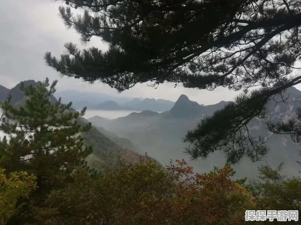 手游资讯，江南百景图仙名山布局设计深度解读——古典美学与人文魅力的完美交融