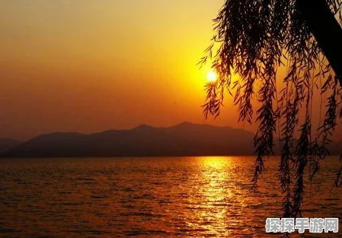 阴阳师手游时间静止流阵容搭配全攻略