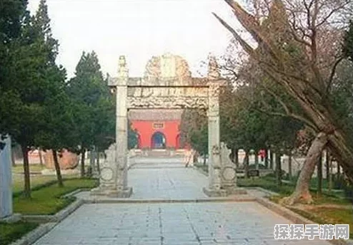 新石器时代手游回旋镖攻略深度解析，掌握技巧，征服远古战场