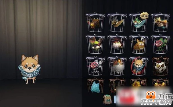 手游资讯，第五人格号失而复得，轻松操作助你找回专属回忆