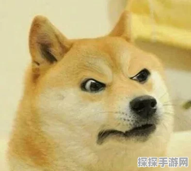 重生细胞挠挠技能深度解析与使用指南