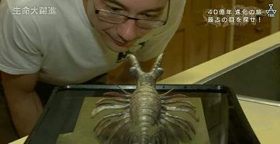 手游资讯，深入对比怪物猎人破晓与怪物猎人曙光