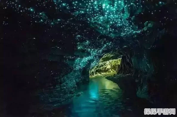 手游资讯，闪烁之光精灵选择与培养深度解析