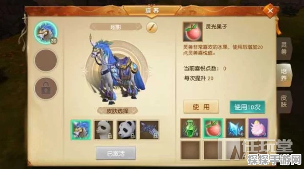 天下手游，灵兽培养全攻略——解锁战斗力与技能的无限可能