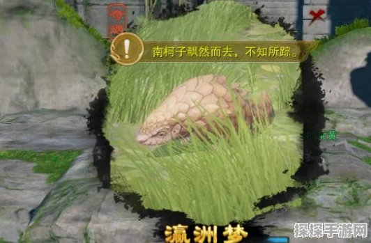 剑网3瀛洲梦宠物奇遇攻略，详细步骤助你高效完成