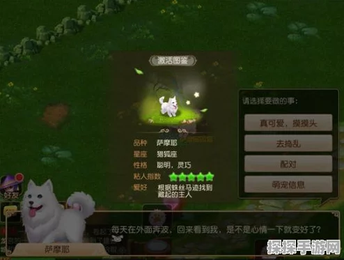 梦幻西游手游牧场萌宠配对玩法深度解析
