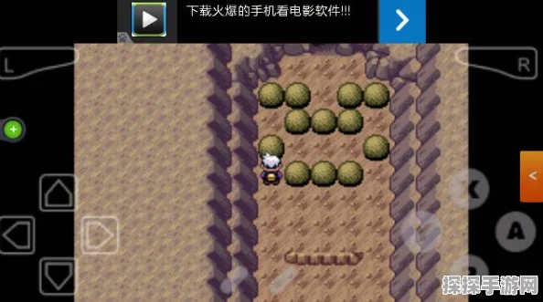 口袋妖怪漆黑的魅影5.0火系道馆挑战指南