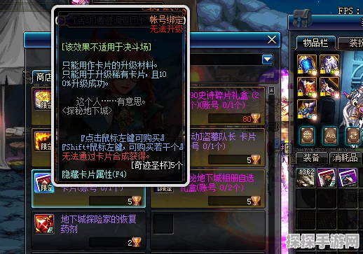 DNF手游隐藏界面FPS揭秘，性能优化与极致体验的深度探索