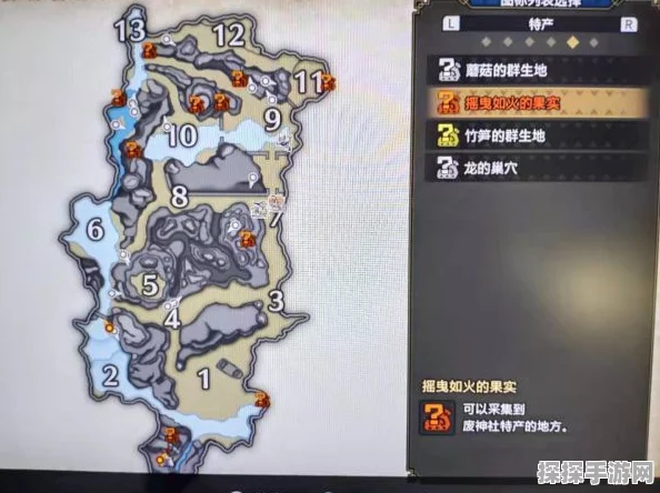 怪物猎人崛起手游资讯，木筏牡蛎采集攻略详解