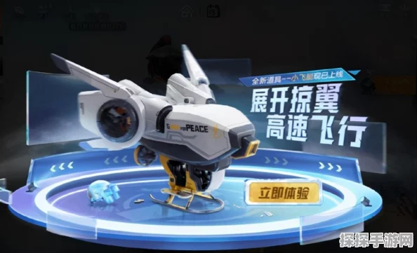 和平精英未设匹配模式背后，深度解析与玩家期待