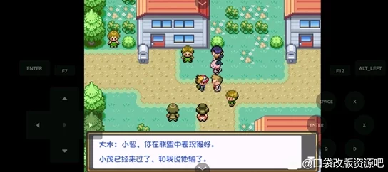 口袋妖怪白金光全面攻略深度解析，一周目与二周目探险指南