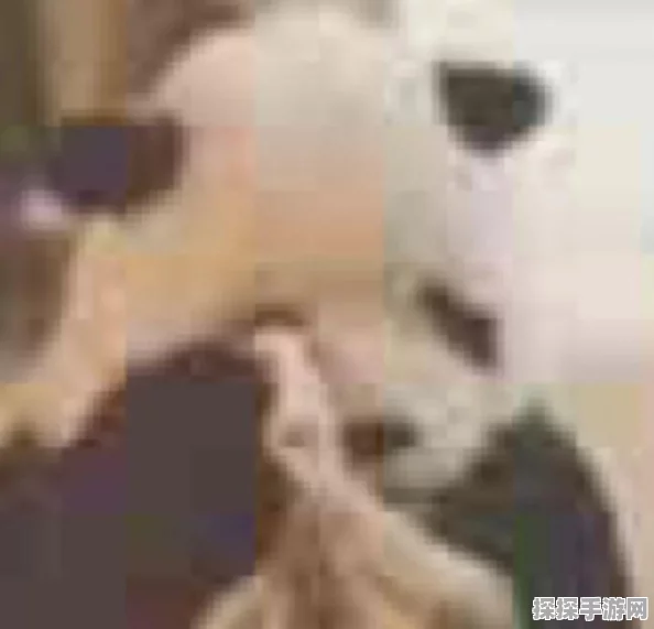 非匿名指令灵纹解锁全攻略，手游资讯深度解析