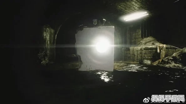 生化危机2重制版手游亮度调整指南及最新资讯概览