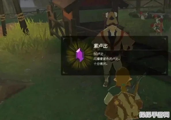 塞尔达传说手游资讯，揭秘卡卡利科村10只咕咕鸡的秘密位置