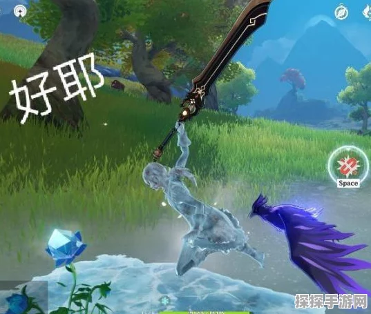 原神冰雾花花朵采集指南，揭秘最佳采集位置