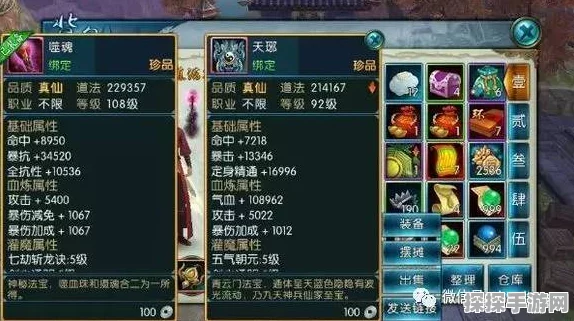 觅长生林沐雪攻略道侣，游戏攻略全解析